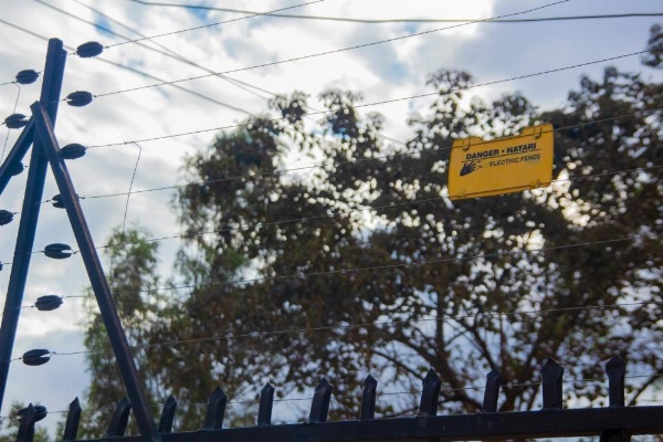 Wakawaka Hostel image 17